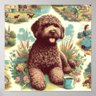 Vintage Lagotto Romagnolo Illustration Poster