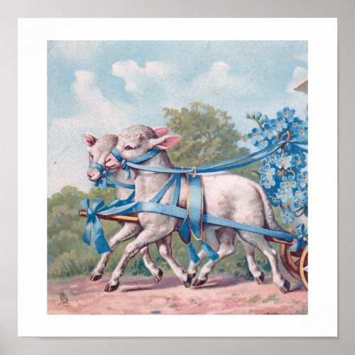 Vintage Lambs Dressed  in Fancy Blue Ribbons Poster