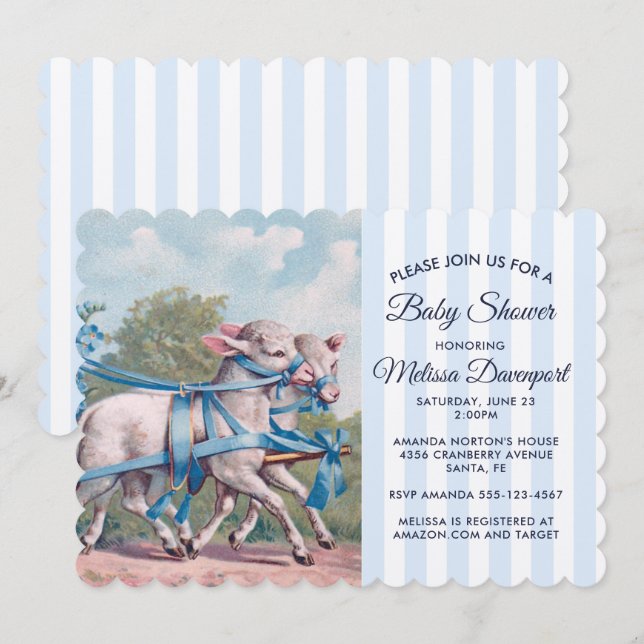 Vintage Lambs in Blue Ribbons Baby Shower Invitation (Front/Back)