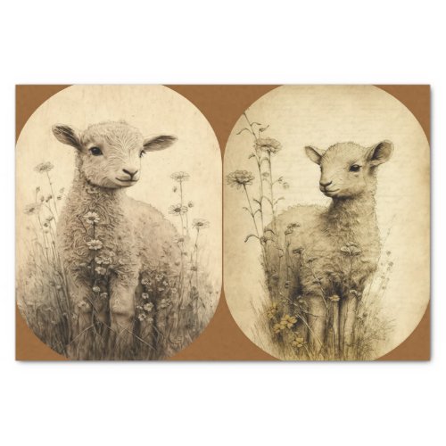 Vintage Lambs  Tissue Paper