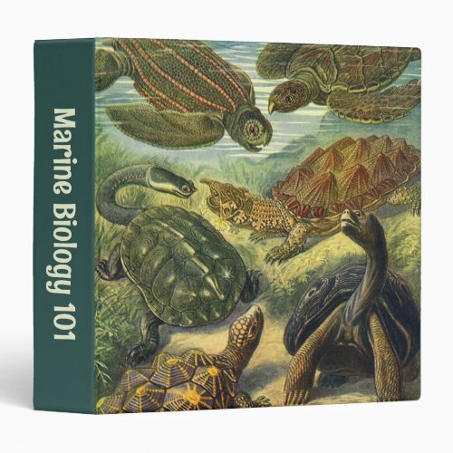 Vintage Land Tortoise Sea Turtles by Ernst Haeckel 3 Ring Binder