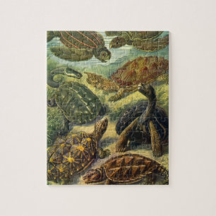 Vintage Land Tortoise Sea Turtles by Ernst Haeckel Jigsaw Puzzle