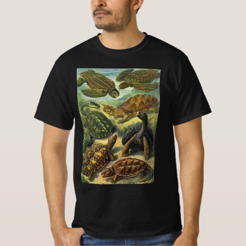 Vintage Land Tortoise Sea Turtles by Ernst Haeckel T_Shirt