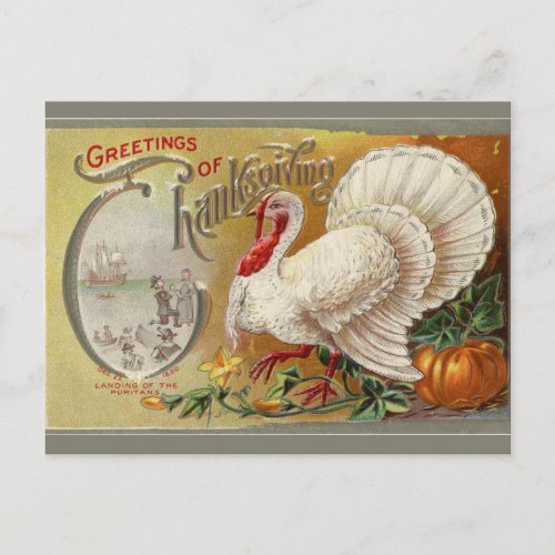 Vintage Landing of the Puritans Thanksgiving Postcard