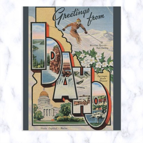 Vintage Large Letter Idaho Postcard