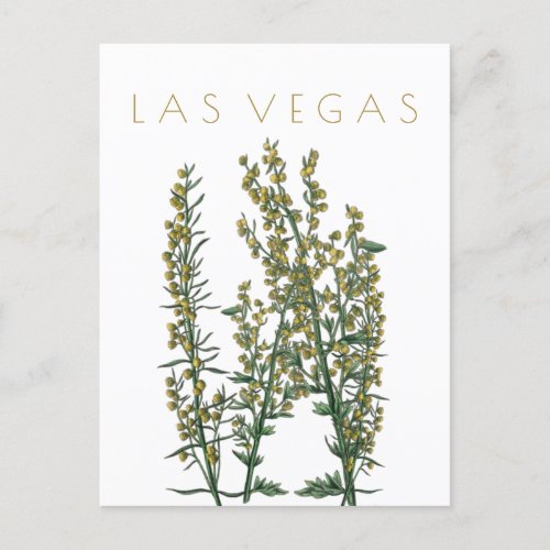 Vintage Las Vegas state flower travel mid century  Postcard
