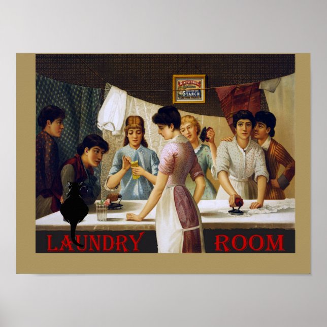 Vintage Laundry Room Chat Noir Poster (Front)