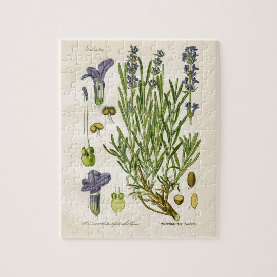 Vintage Lavender Botanical Print Jigsaw Puzzle Zazzle