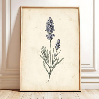 Vintage Lavender Botanical Wall Art