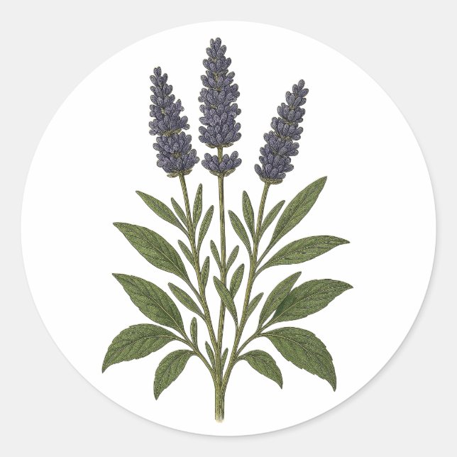 Vintage Lavender Sticker - round (Front)
