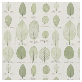 Vintage Leaf Illustrations Fabric by ThinxShop at Zazzle