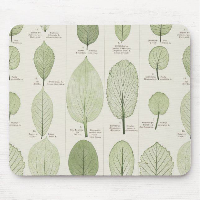 Vintage Leaf Illustrations Mouse Pad (Front)
