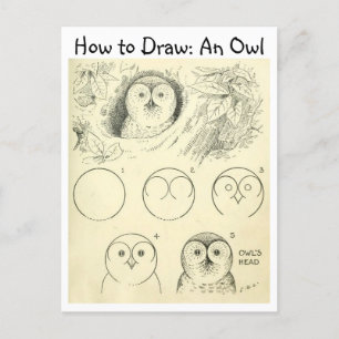 Vintage Learn How to Draw an Owl Postcard