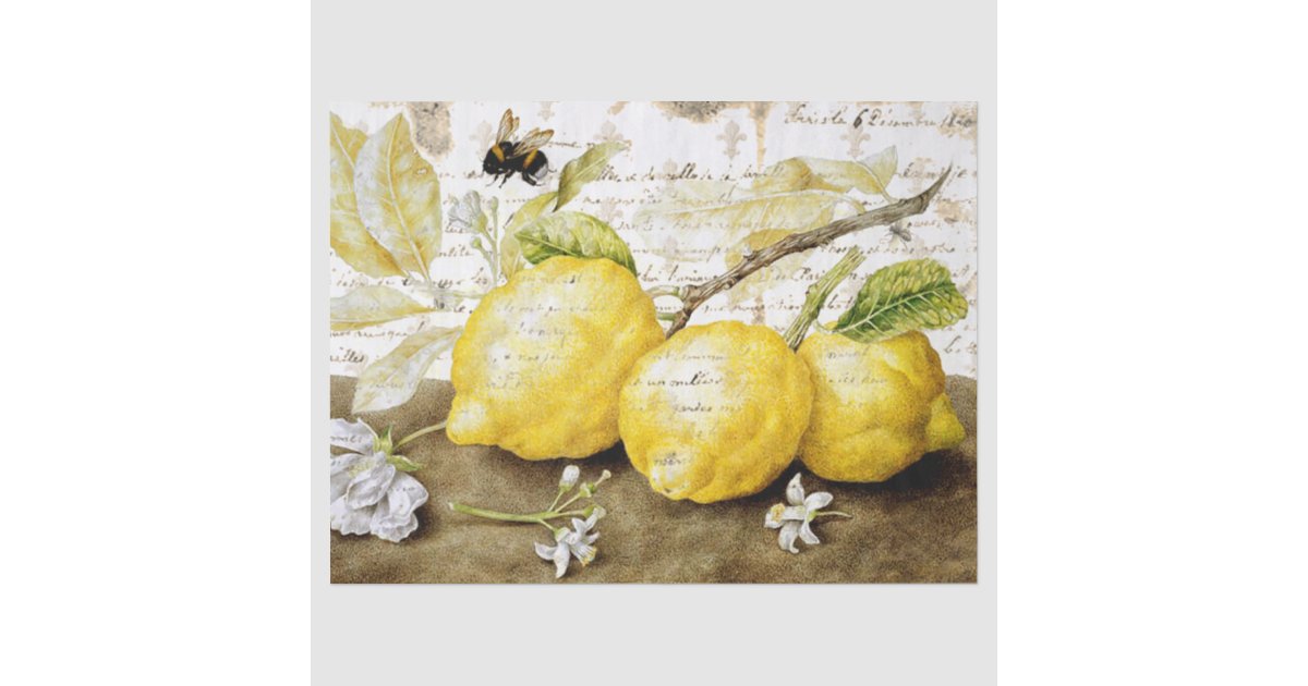 Vintage Lemon And Bee Ephemera Tissue Paper | Zazzle