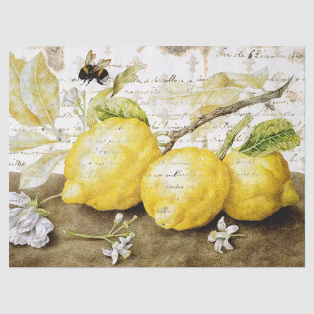 Vintage Lemon And Bee Ephemera Tissue Paper | Zazzle