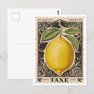 Vintage Lemon Botanical Fruit Postcard 