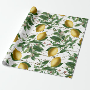 Vintage Lemon Branch French Script Fruit Wrapping Paper