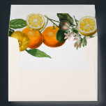 Vintage Lemon Citrus Botanical Wedding  Envelope<br><div class="desc">Vintage Lemon Citrus Botanical Wedding envelope with your return address on the back flap.</div>