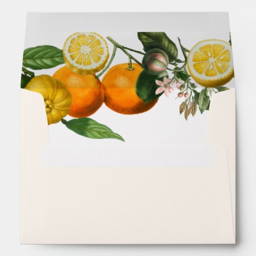 Vintage Lemon Citrus Botanical Wedding  Envelope