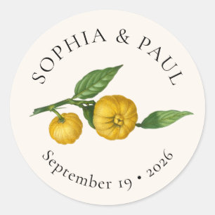 Vintage Lemon Citrus Botanical Wedding Favor Classic Round Sticker
