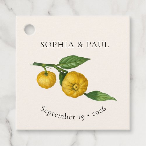 Vintage Lemon Citrus Greenery Botanical Wedding Favor Tags