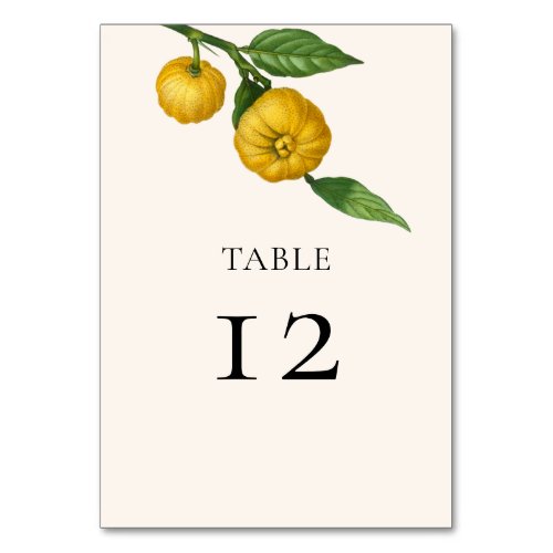 Vintage Lemon Citrus Greenery Botanical Wedding Table Number