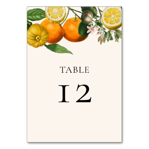 Vintage Lemon Orange Greenery Botanical Wedding Table Number