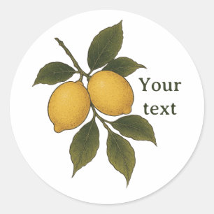Vintage Lemon Sticker, Mediterranean Citrus Sticke Classic Round Sticker