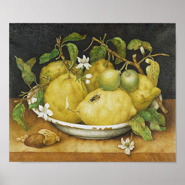 Vintage Lemon Still Life Poster (Front)