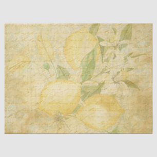 Vintage Lemon White Floral Script Decoupage Tissue Paper