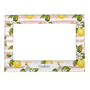 Vintage Lemons & Blooms on Pink and White Stripes Magnetic Frame