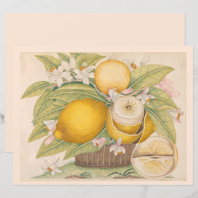 Vintage Lemons Citrus Fruit Drawing Scrapbook Page (Front/Back)
