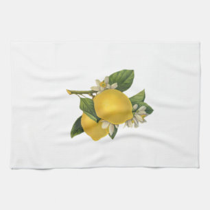 Vintage Lemons Illustration Kitchen Towel