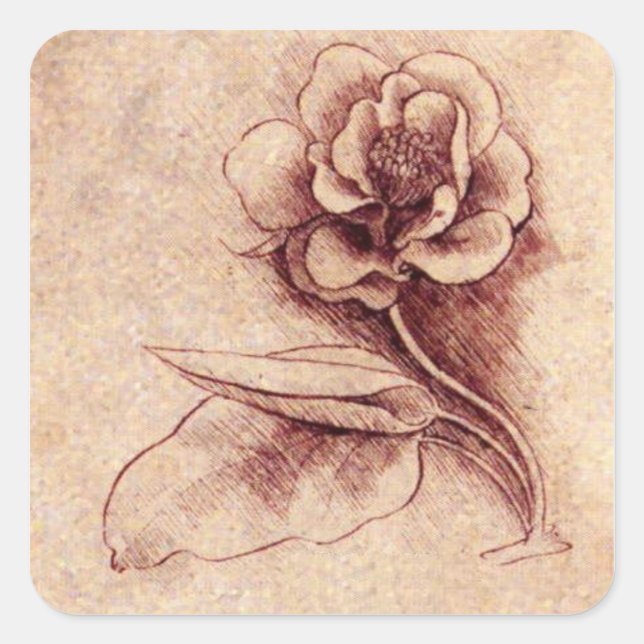 Vintage Leonardo Da Vinci Flower Square Sticker (Front)