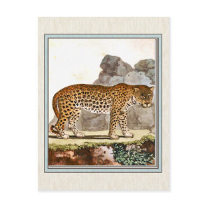 Vintage Leopard Illustration Postcard