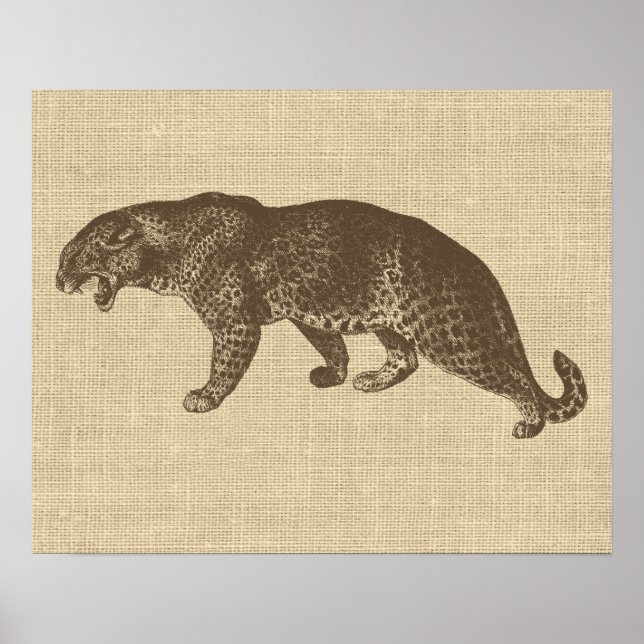 Vintage Leopard Illustration   Poster (Front)
