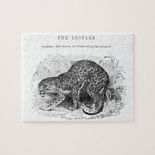 Vintage leopard wildlife illustration jigsaw puzzle