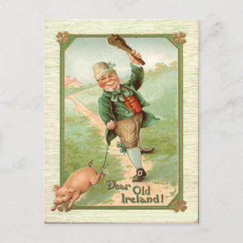 Vintage Leprechaun Pig Shillelagh St Patricks Day Postcard