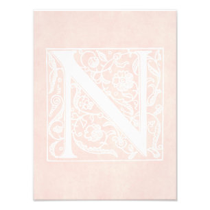 Vintage Letter N Monogram Rose Pink Parchment "N" Photo Print