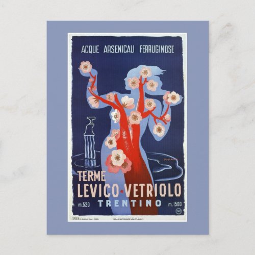 Vintage Levico Terme Trentino Italian travel Postcard