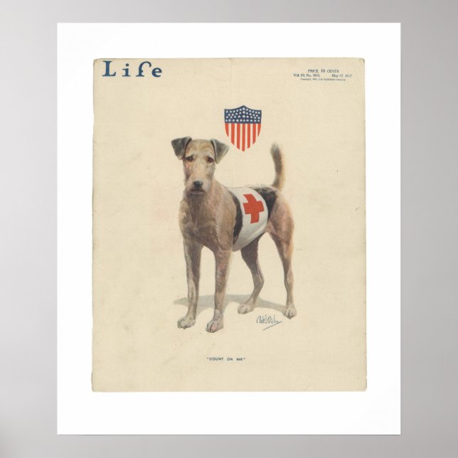 Vintage Life Magazine Cover Poster May, 1917 (Front)