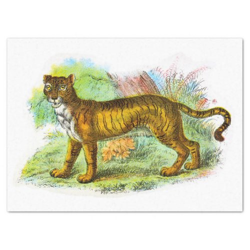 Vintage Liger Or lion Tiger Decoupage Tissue Paper