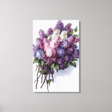 Vintage Lilac Bouquet Stretched Canvas Print