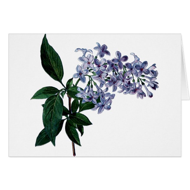 Vintage lilac cards (Front Horizontal)