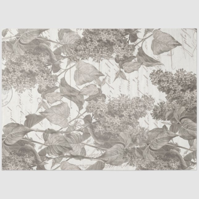 Vintage Lilac Collage Tissue Paper (Front)