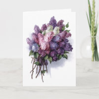 Vintage Lilacs Birthday Card