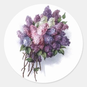Vintage Lilacs Classic Round Sticker by Sara_Valor at Zazzle