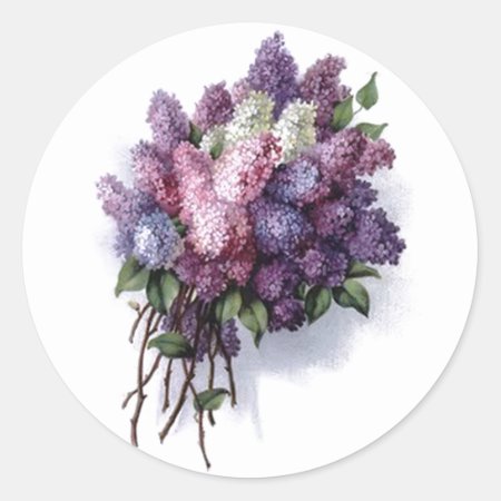 Vintage Lilacs Classic Round Sticker