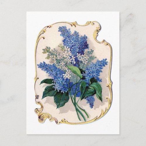 Vintage Lilacs Postcard