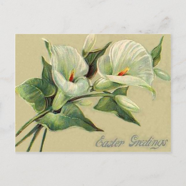 Vintage Lily Easter Card (Front)